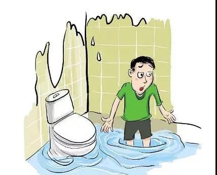 裝修，為什么選擇三葉石裝飾？